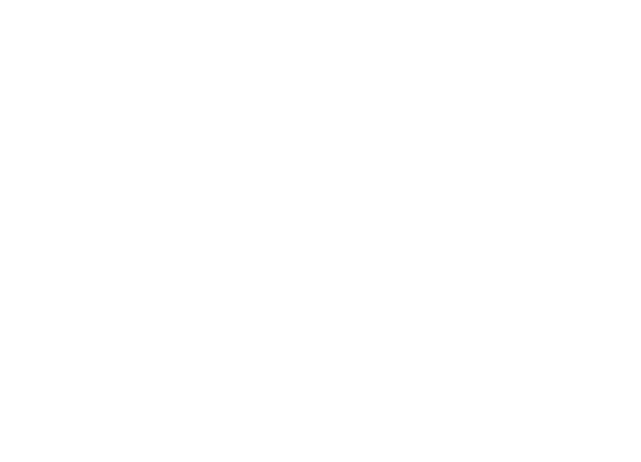 STS metals Logo white stacked